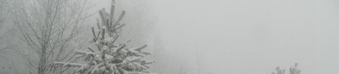 piatra-aradului-header